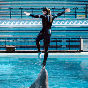 Animal Trainer-Dolphin Trainer-Professional Animal Training-Jane with Dolphin During Dolphin Show-Jane Trains-El Prado, NM-Taos, NM