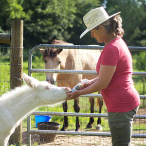 Animal Trainer-Horse Trainer-Professional Horse Training-Clicker Training-Jane Feeding Baby Horse-Jane Trains-El Prado, NM-Taos, NM
