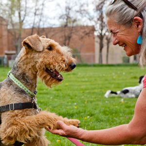 Dog Training-Dog Trainer-Certified Dog Training-Certified Dog Trainer-Positive Reenforcement Dog Training-Professional Dog Training-Jane Shaking Hands with Dog-Jane Trains-El Prado, NM-Taos, NM