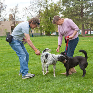 Dog Training Services-Dog Trainer-Certified Dog Training-Certified Dog Trainer-Positive Reenforcement Dog Training-Professional Dog Training-New Dog Training Clients-Jane Trains-El Prado, NM-Taos, NM
